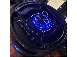ZQS-6201 BT Speaker портативная Bluetooth колонка с микрофоном и пультом ДУ